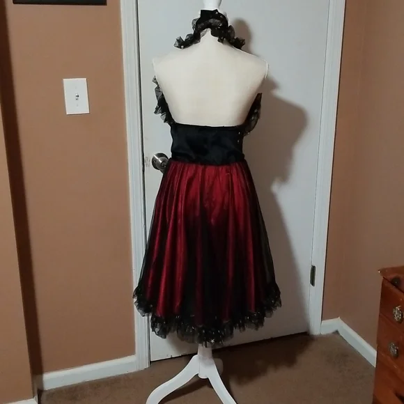 Costume, Rouge Dancer . Adults size 8 - Picture 2 of 5